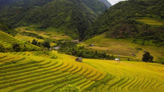 Center for strategic Research of Grassland Agriculture Development