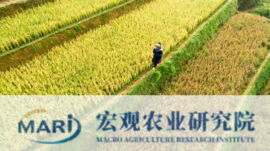 Macro Agriculture Research Institute
