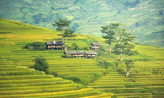 Do land markets improve land use efficiency? Evidence from Jiangsu, China