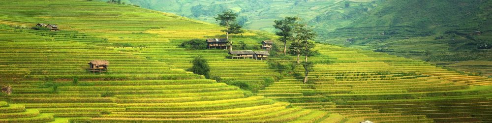 asia-1807574_1920 asia-1807574_1920